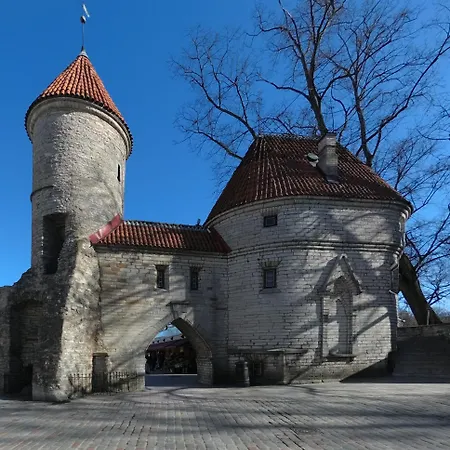 Urban Escape In Tallinn's Heart Appartement Tallinn